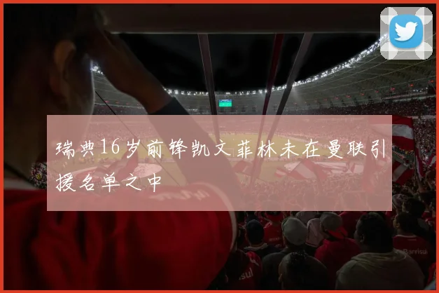 瑞典16岁前锋凯文菲林未在曼联引援名单之中