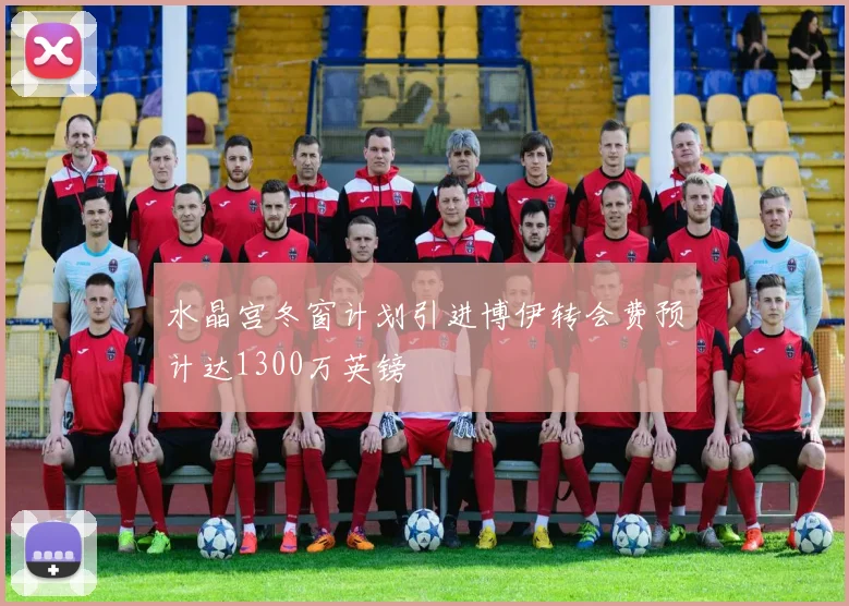 水晶宫冬窗计划引进博伊转会费预计达1300万英镑